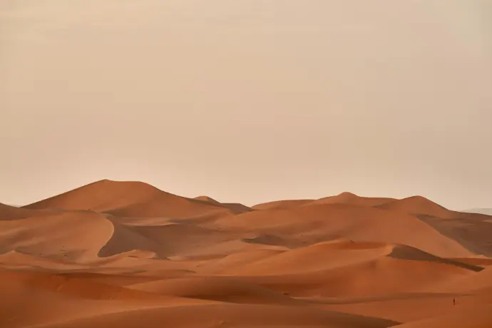 dessert field